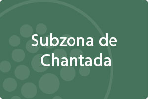 Subzona de Chantada