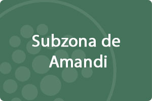 Subzona de Amandi