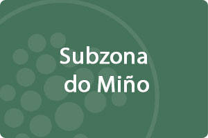 Subzona do Miño