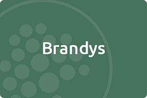 Brandys