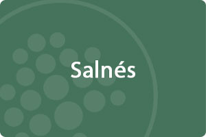 Salnés